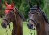 Nauszniki SPORTS LINE - Bucas - black/red